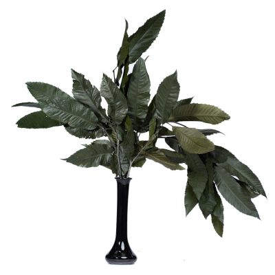 Chestnut Branch - Bunch
