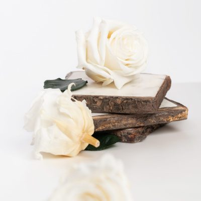 Fora exclusive roses - Medium - 6 Heads - White