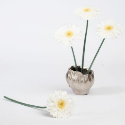 Gerbera With Stem - 4 Heads