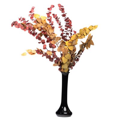 Premium Eucalyptus - autumnal - Bunch