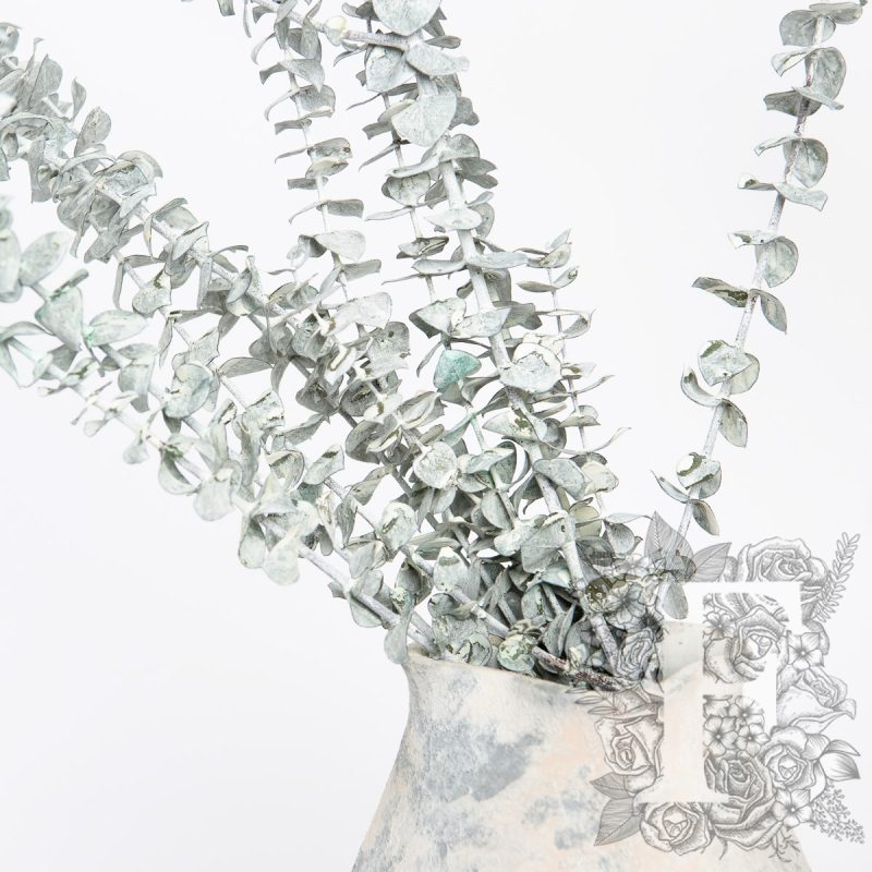 white frost