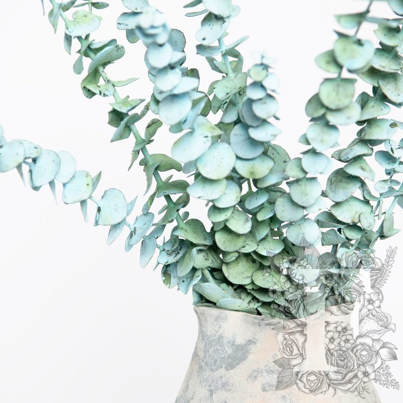 Blue frost