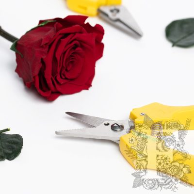 Floral Shears - 1 Pack