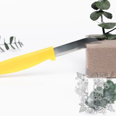 Floral Knives - 5 Pack