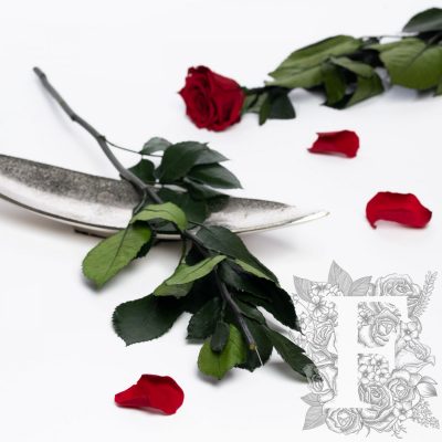 Rose Stem - 60 cm