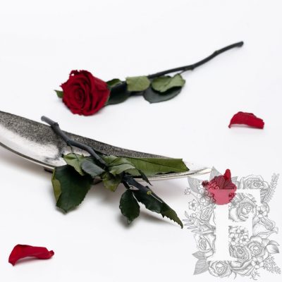 Rose Stem - 30cm