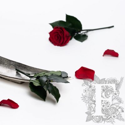 Rose Stem - 20cm