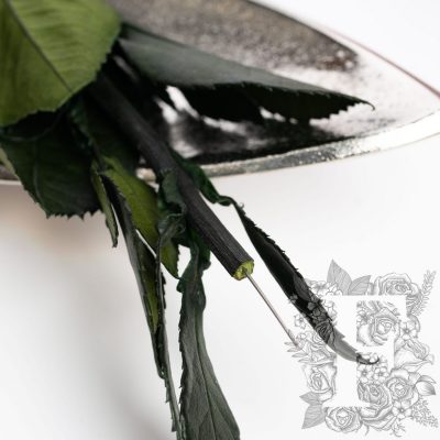 Rose Stem - 30cm