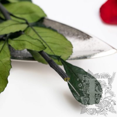 Rose Stem - 20cm