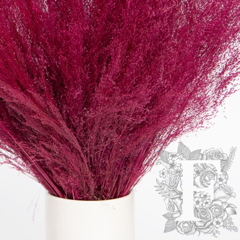 Cranberry