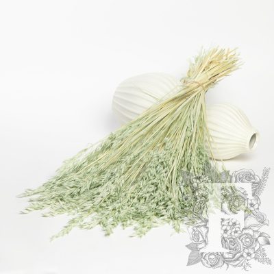 Avena - Bunch