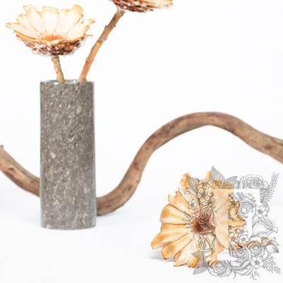 Barbigera flat base - 3 Stems