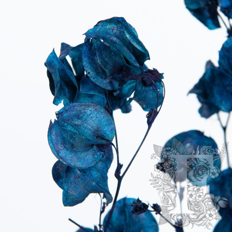Deep Blue