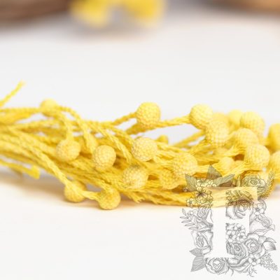Brunia Branch - 3 stems