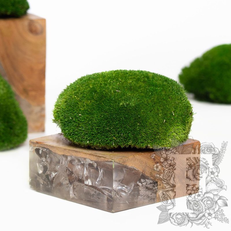 Nature Green