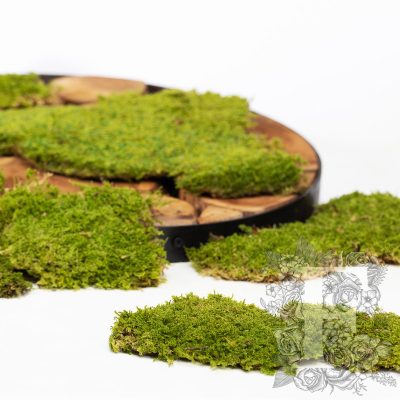 Canopy - Flat Moss - Bulk - Box  2.5Kg