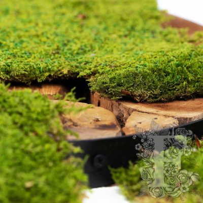 Canopy - Flat Moss - Window box