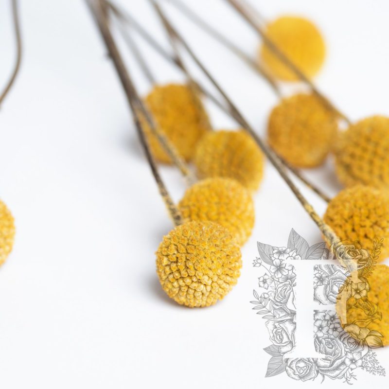 Natural Yellow