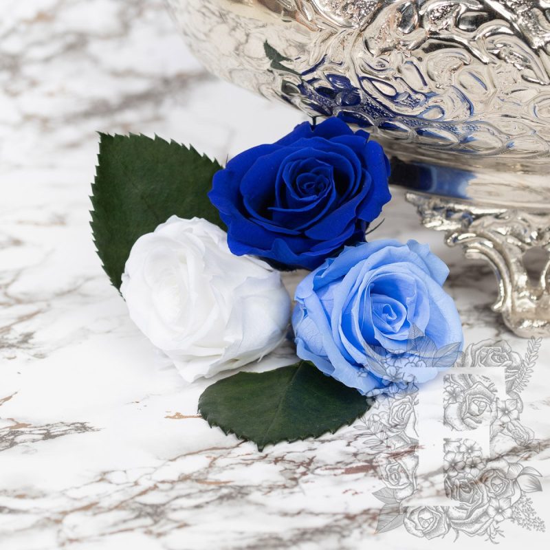 Blue Ombre