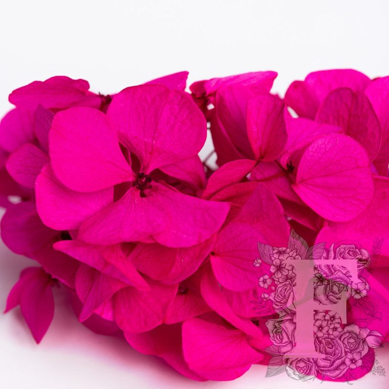 Shocking Pink