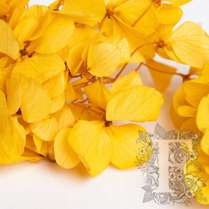 Sulfur Yellow