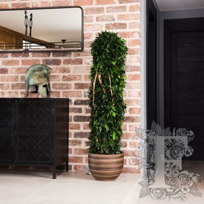 Totems Hedera