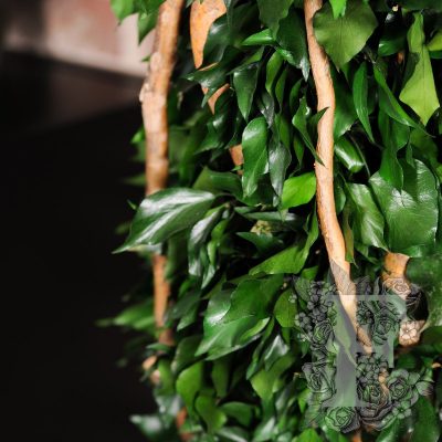 Totems Hedera