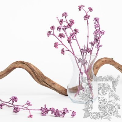 Eucalyptus Koala - Branch - 3 Stems