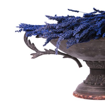 Lavender - Bunch - Purple blue