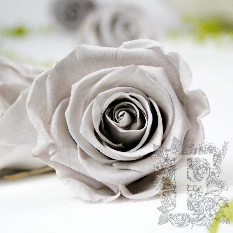 Grey