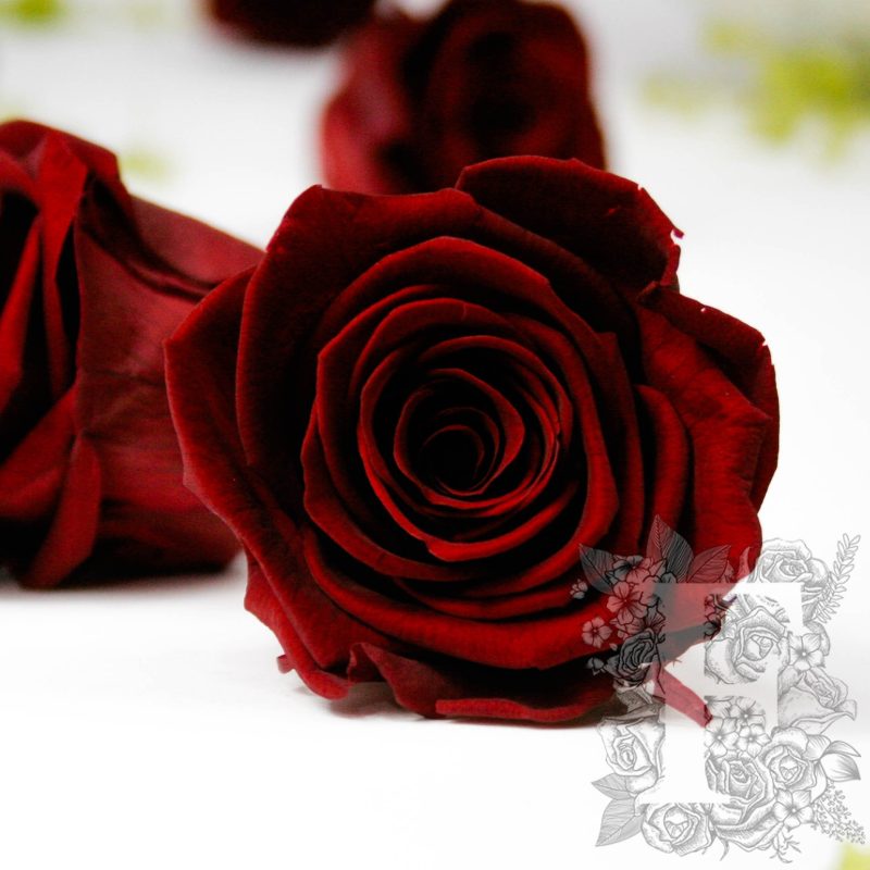 Royal red