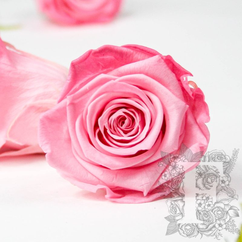 Pink bride bic