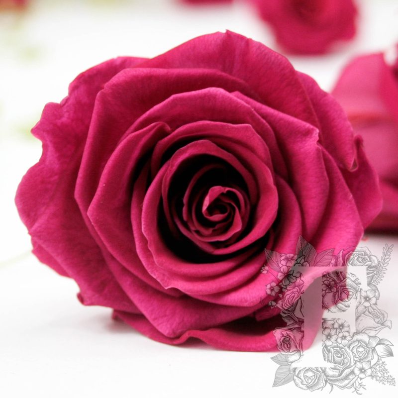 Velvet plum
