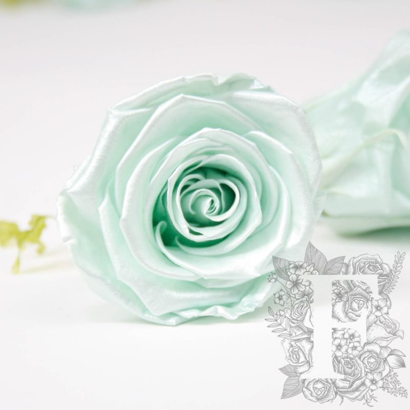 Satin Tiffany