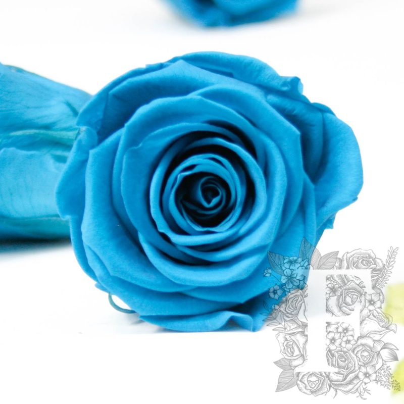 Aquamarine