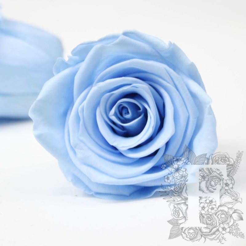 Baby blue