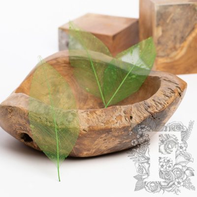 Hoja mini magnolia - 20 Pack