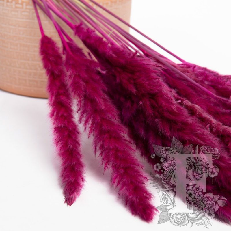 Cerise