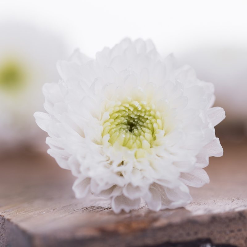 White Green