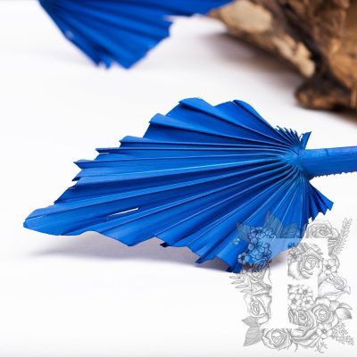 Palm spear - 10 Stems
