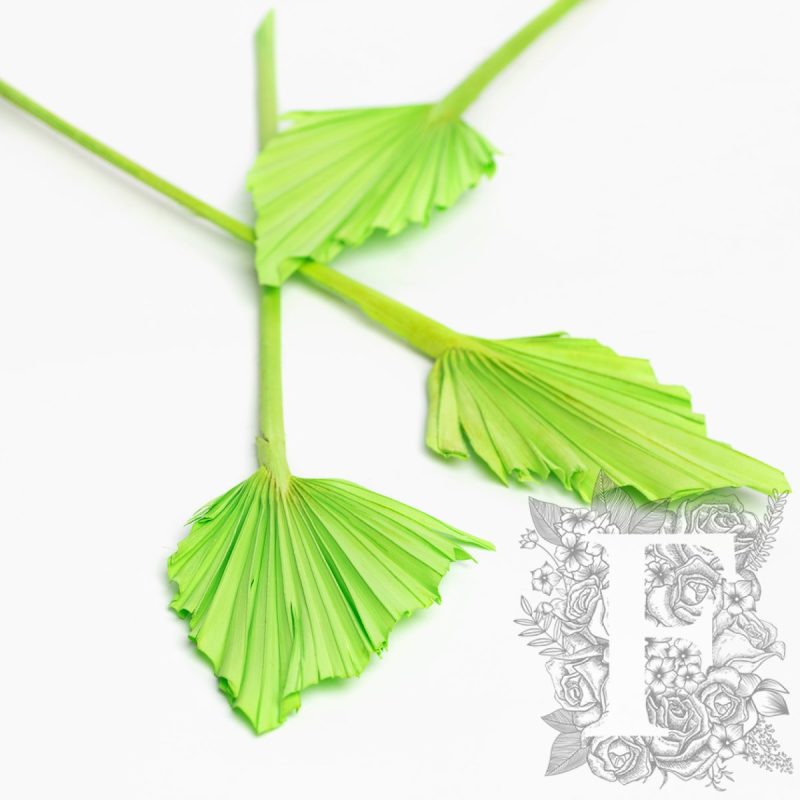 Lime