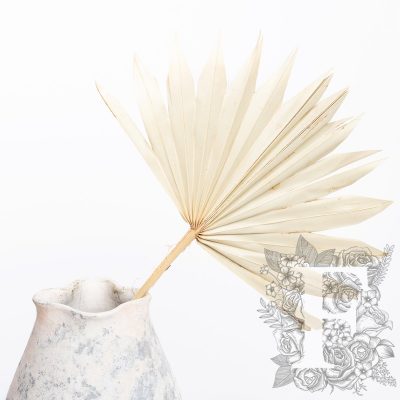 Palm Sun - 6 Stems