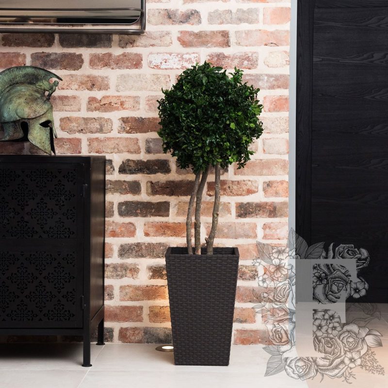 Topiary