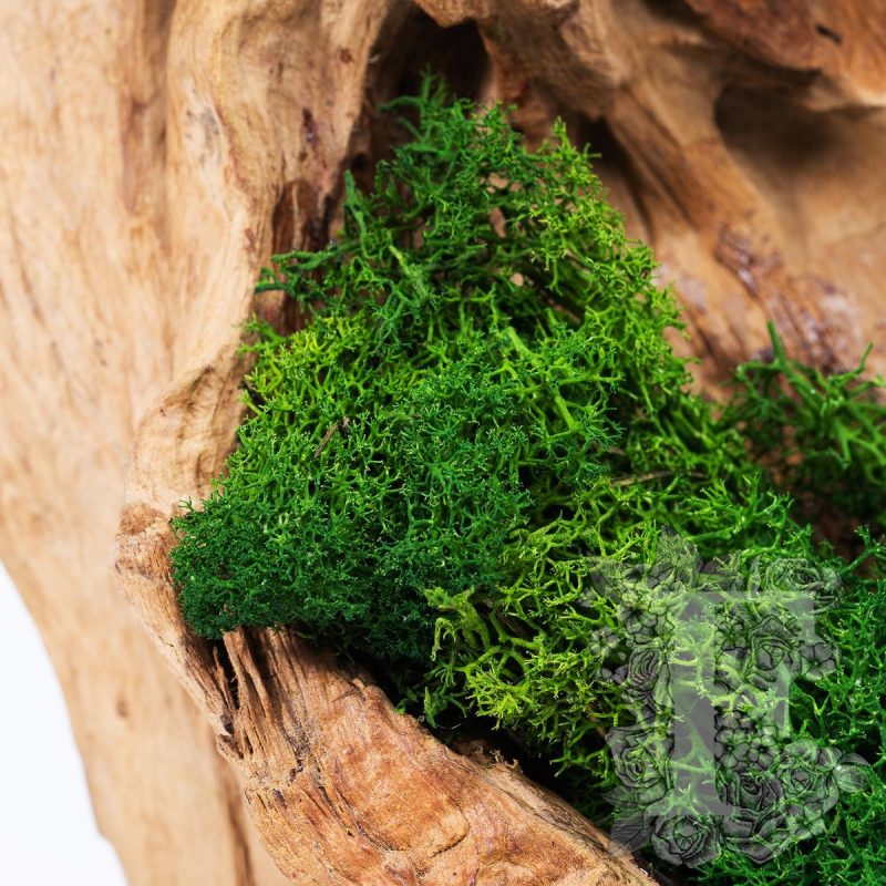 Forest green