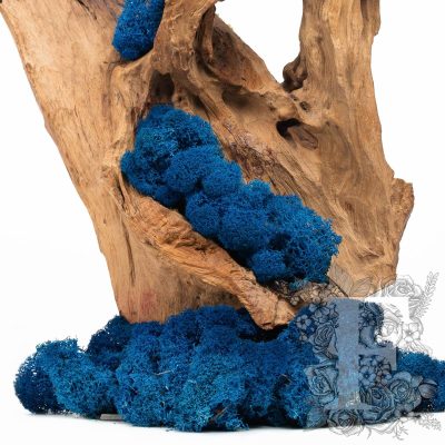 Canopy - premium - Icelandic Lichen Moss - Bulk 5KG (Copy)