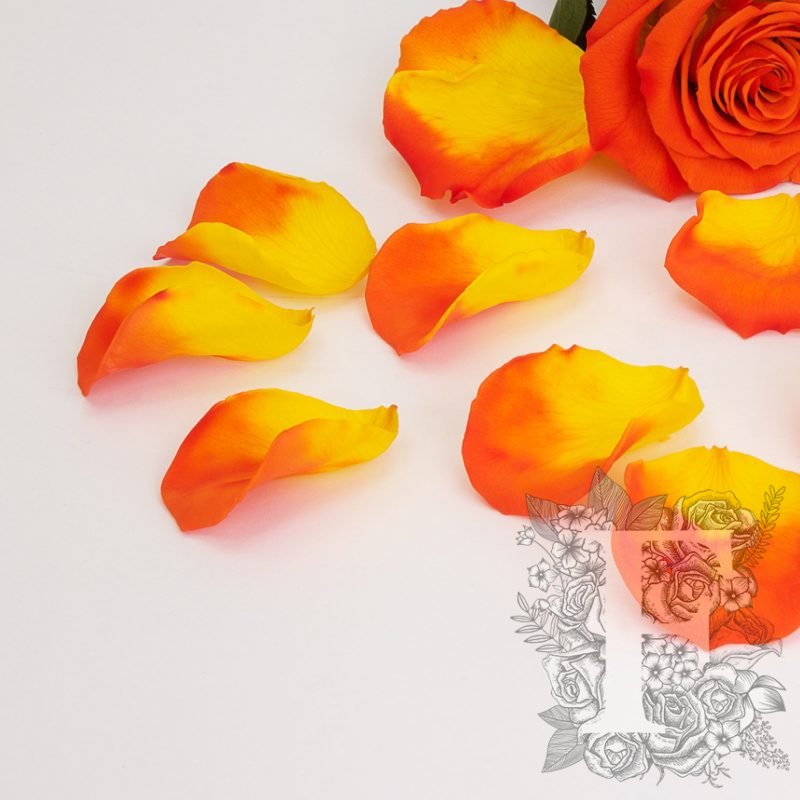 Bi-Colour Orange