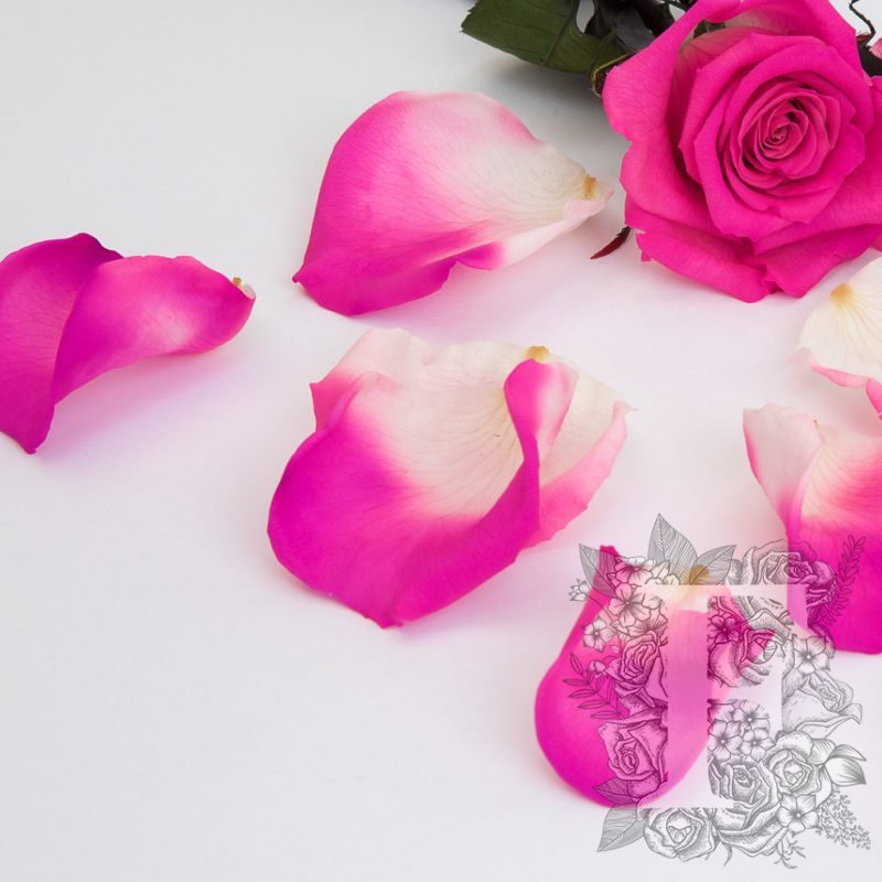 Bi-Colour Pink