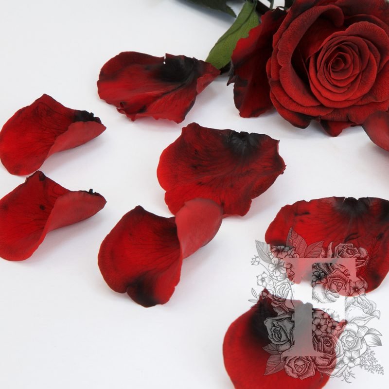 Bi-Colour Red