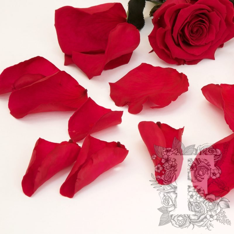 Light Red