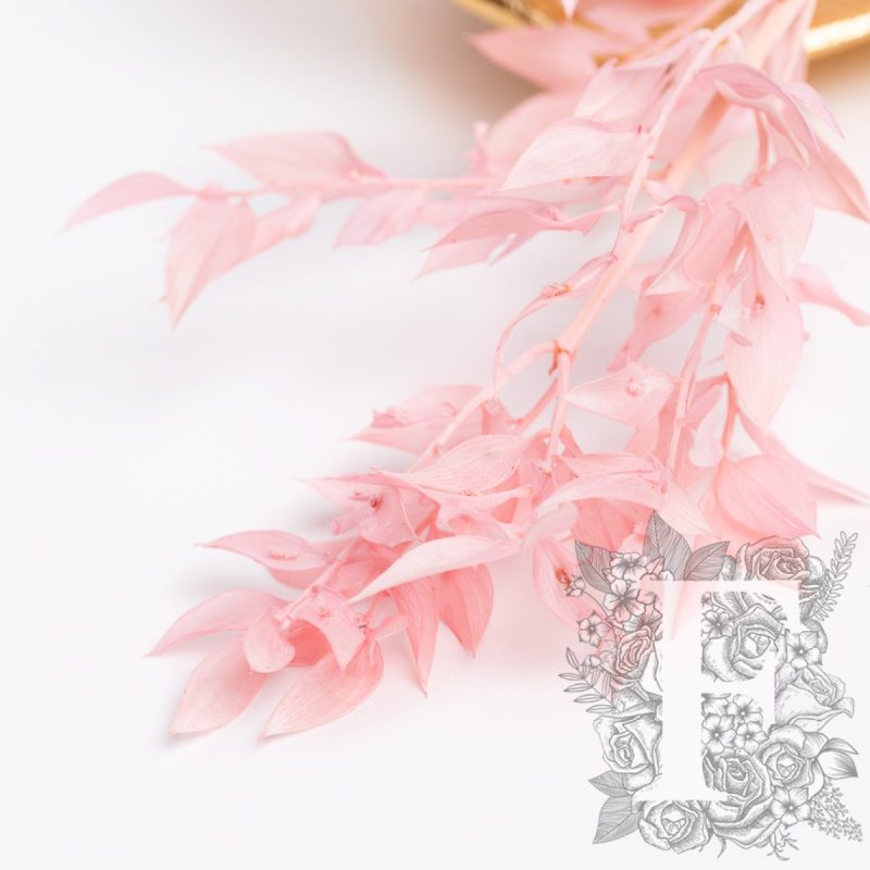 Baby Pink